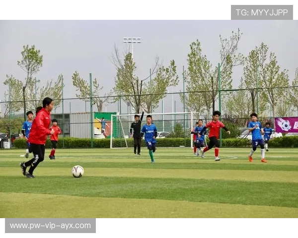 足球俱乐部在青训中强化伦理教育与未成年保护机制，青少年足球俱乐部发展现状