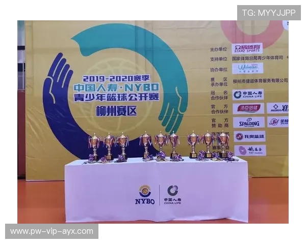 世界篮球青训营推出在线技能评估系统